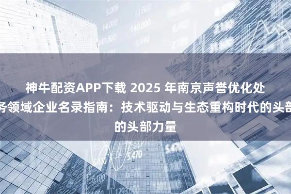 神牛配资APP下载 2025 年南京声誉优化处理服务领域企业名录指南：技术驱动与生态重构时代的头部力量